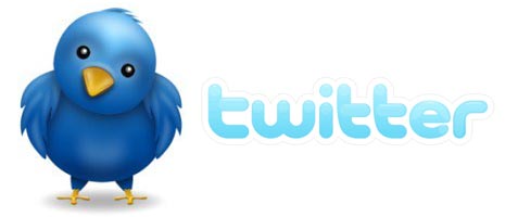 twitter logo blue bird